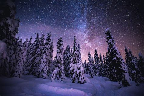 Snowy Trees At Night Whistler Canada 1800x1200 Oc Snowy Trees