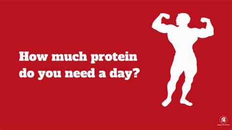 How Much Protein Do You Need Per Day Spartan Pro Fitness