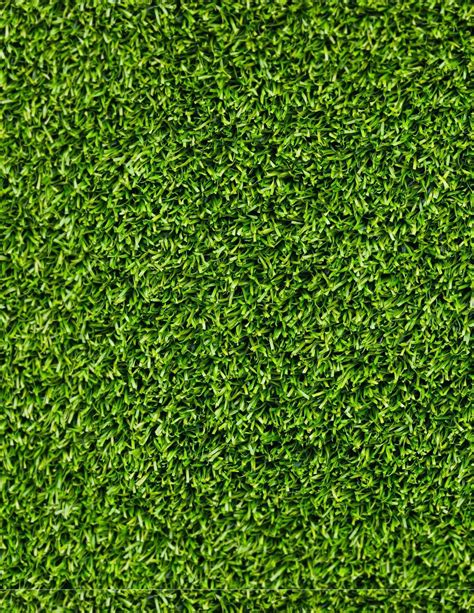 Free Photo Grass Texture Grass Green Lawn Free Download Jooinn