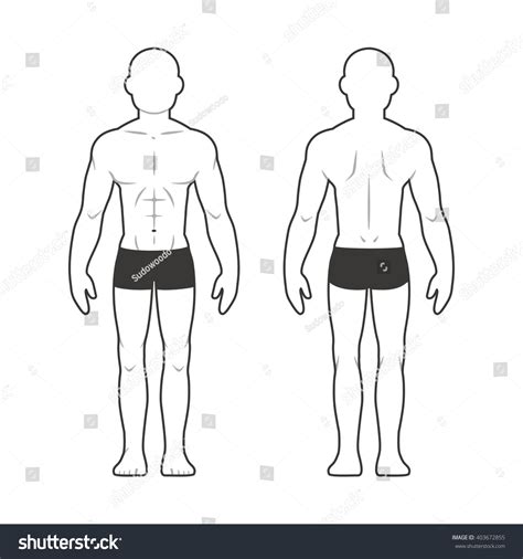 Medical Male Body Chart Muscular Man Stock Illustration 403672855