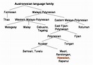 Austronesian Language Tree | Language tree, Language families, Language
