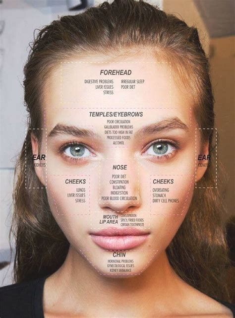 Acne Face Map Meaning Of Pimple Location In 2020 Face Mapping Acne Face Mapping Face Acne