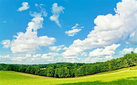 壁纸 树，草地，蓝天，白云，夏天 2560x1600 Hd 高清壁纸 图片 照片