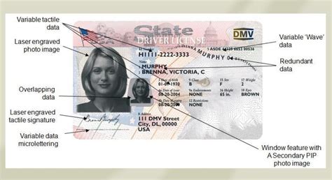 Retro Look On The Way For New York State Drivers Licenses