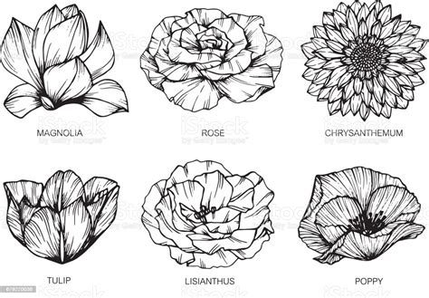 Also, find more png clipart about floral clip art,paint clipart,line pattern. Collection Of Flowers Drawing And Sketch With Lineart On ...