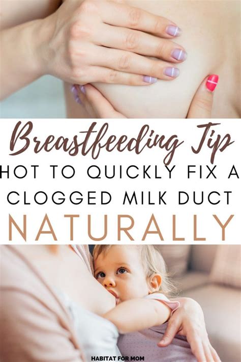 Breastfeeding Tip How To Fix A Clogged Milk Duct Naturally In 2020
