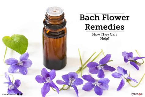 Bach Flower Remedies How They Can Help By Dr Madhuri Bhatt Lybrate