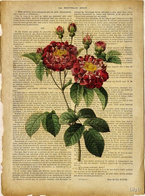 Botanical Print On Old Book Page Flowers Roses By Lily D Redbubble
