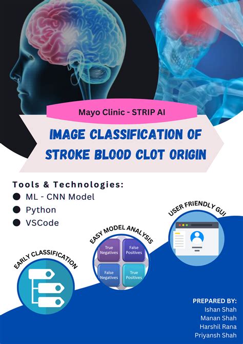 Github Priyansh42stroke Blood Clot Classification This Model