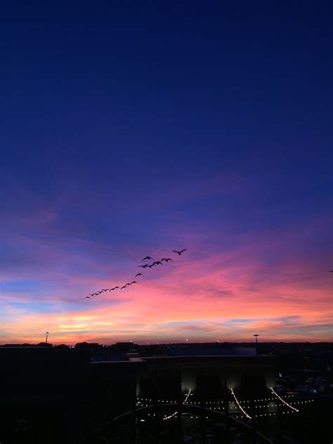 Check out this fantastic collection of sunset aesthetic wallpapers wallpapers, with 40+ sunset aesthetic wallpapers background images for your desktop, phone. Pinterest | Sunset wallpaper, Aesthetic wallpapers, Sky