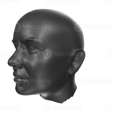 3d Rendering Of Human Bust 17778157 Png
