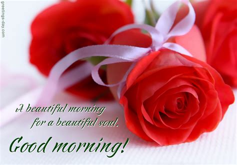 Lovely Rose Good Morning Images Carrotapp