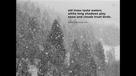 Haiku Poems About Nature Haiku Winter Flight Youtube