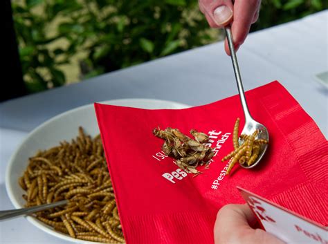 The Buzz Around Eating Insects The Argument For Adding Bugs To Our