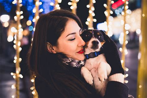 Keeping Pets Safe On New Years Eve Healthy Paws Pet Insurance