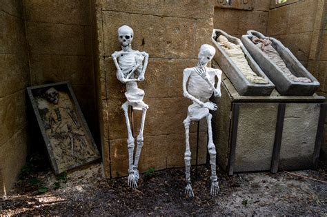 A Petrified Forest Takes Its Spooky Shape In Altamonte Springs