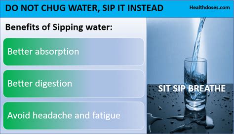 Is It Better To Sip Or Chug Water