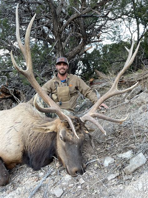 New Mexico Elk Hunting Unit 36 Compass West Outfitters Compass West