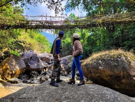 7 Reasons Why You Should Trek To The Double Decker Root Bridge In