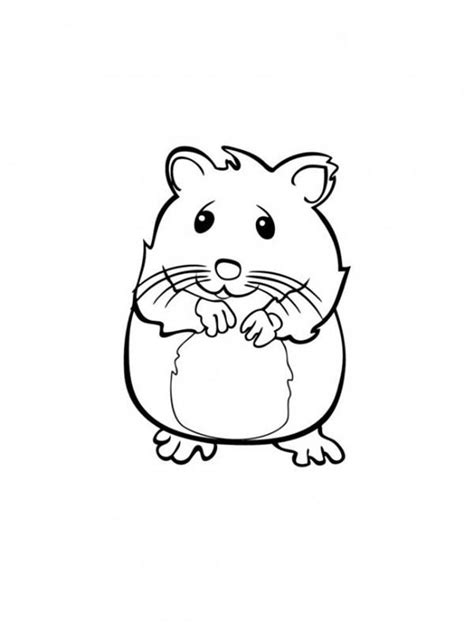 Free Printable Hamster Coloring Pages
