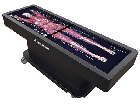 Interactive Anatomy Technology About The Program Biomedical