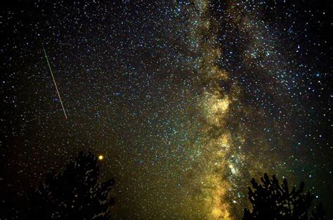 We All Deserve To See The Stars How Light Pollution Affects Our Health