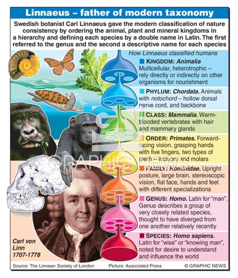 Science Carl Linnaeus Update Infographic