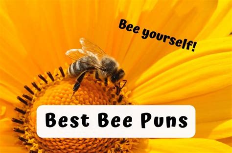 153 Best Bee Puns That Are Un Bee Lievably Bee Autiful