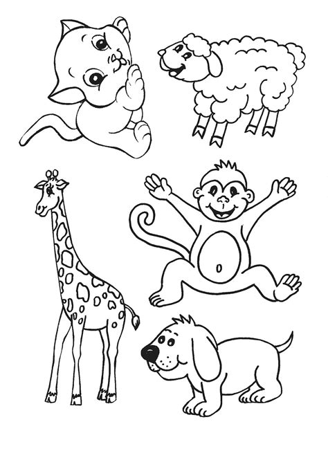 Desenhos De Animais Da Floresta