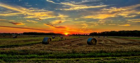 Sunset Over The Horizon On The Farmland Image Free Stock Photo