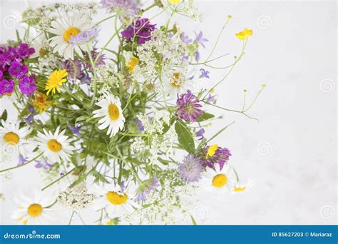 Bunch Of Summer Wild Meadow Floweres Of Various Colors On Grey B Stock