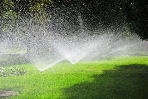 Maybe you would like to learn more about one of these? Summer lawn care | watering, mowing, etc. | HireRush Blog
