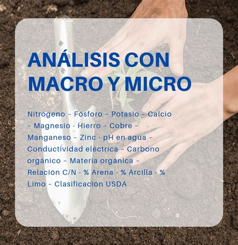 Lista 103 Foto Estructura Macro Y Micro Del Corazon Lleno