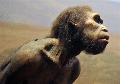 First Homo Sapiens