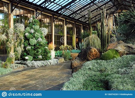 Desert Greenhouse With Cactii Editorial Image Image Of Decoration