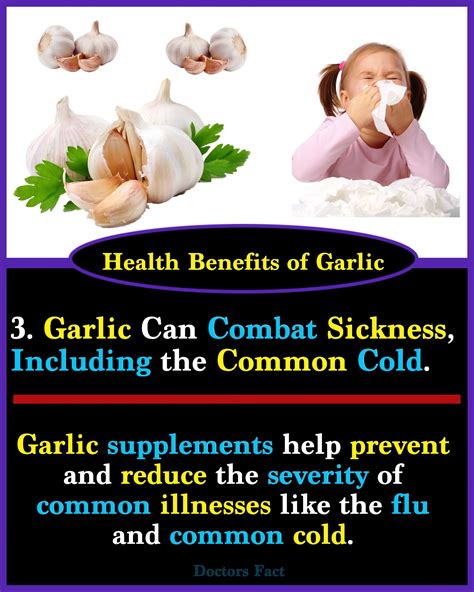 Pin By Doctors Fact On Health Tips Garlic Health Benefits Health