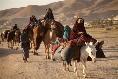 A Caravan Of Kuchi Nomads On The Move In Ghor Province In Central