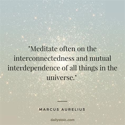 Meditate Often On The Interconnectedness And Mutual Stoic Quotes