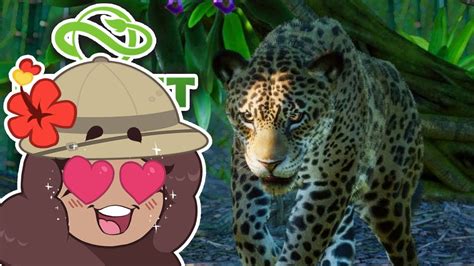 The Queen Of Jaguars Arrives 🦙 Jungle Expedition • 3 Youtube