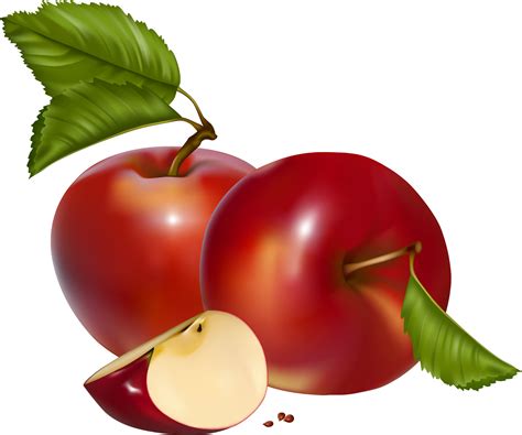 Download Apple Cliparts Png Fall Red Apples Clip Art Transparent Png