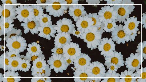 Check spelling or type a new query. Laptop Wallpaper Flowers Aesthetic - Download Free Mock-up