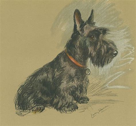 antique scottie dog prints vintage pictures  scottish terriers