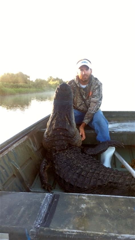 Lake Okeechobee Alligator Free Range Hunts Fast Break Florida