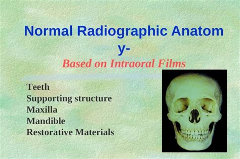 Ppt Normal Radiographic Anatomy Based On Intraoral Films Teeth