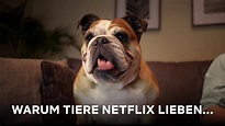 Netflix geht vor die Hunde | Netflix - YouTube