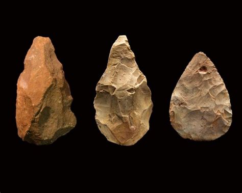 Handaxes Set Newsdesk Early Humans History Early Humans Early Humans Tools