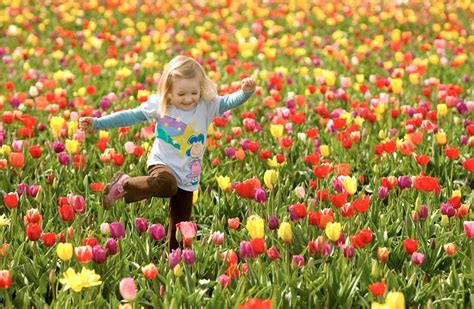 Fotos Da Primavera Imagens Da Estação Flores Coloridas E Paisagens