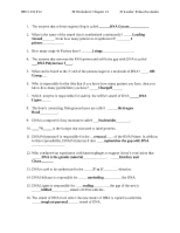 Work power and energy worksheets answers. Dna Replication Worksheet Answer Key Biology Kidz ...