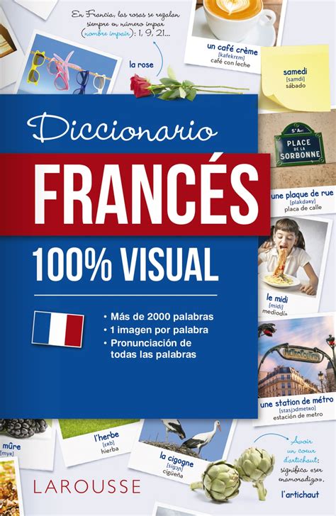Diccionario De Francés 100 Visual Larousse Editorial