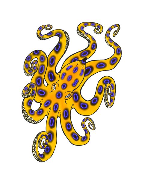 Blue Ringed Octopus By Foxxie Angel On Deviantart